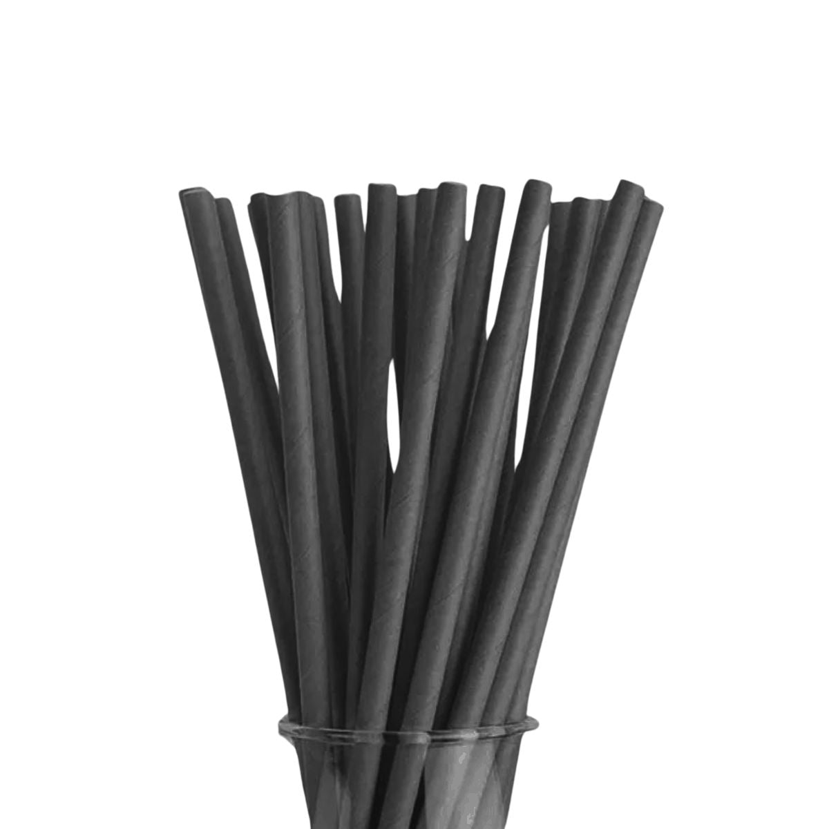 Set De 24 Bombillas De Papel Ecológico Negro - Louicid