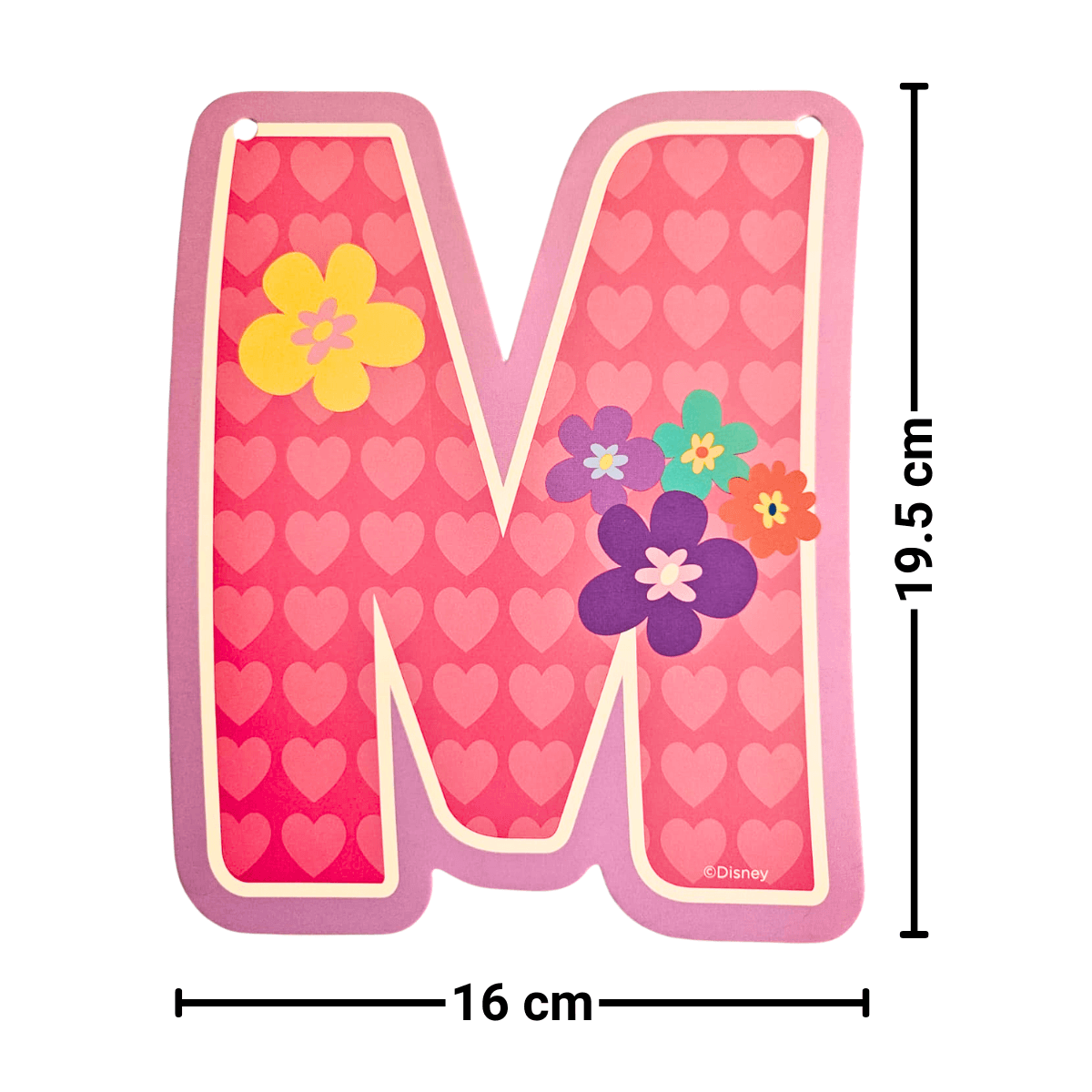 Guirnalda Feliz Cumpleaños 3mts Princesas Disney - Louicid