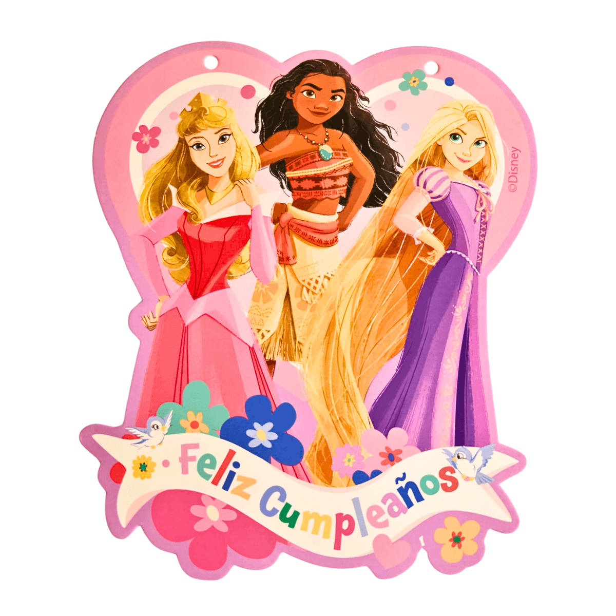 Guirnalda Feliz Cumpleaños 3mts Princesas Disney - Louicid