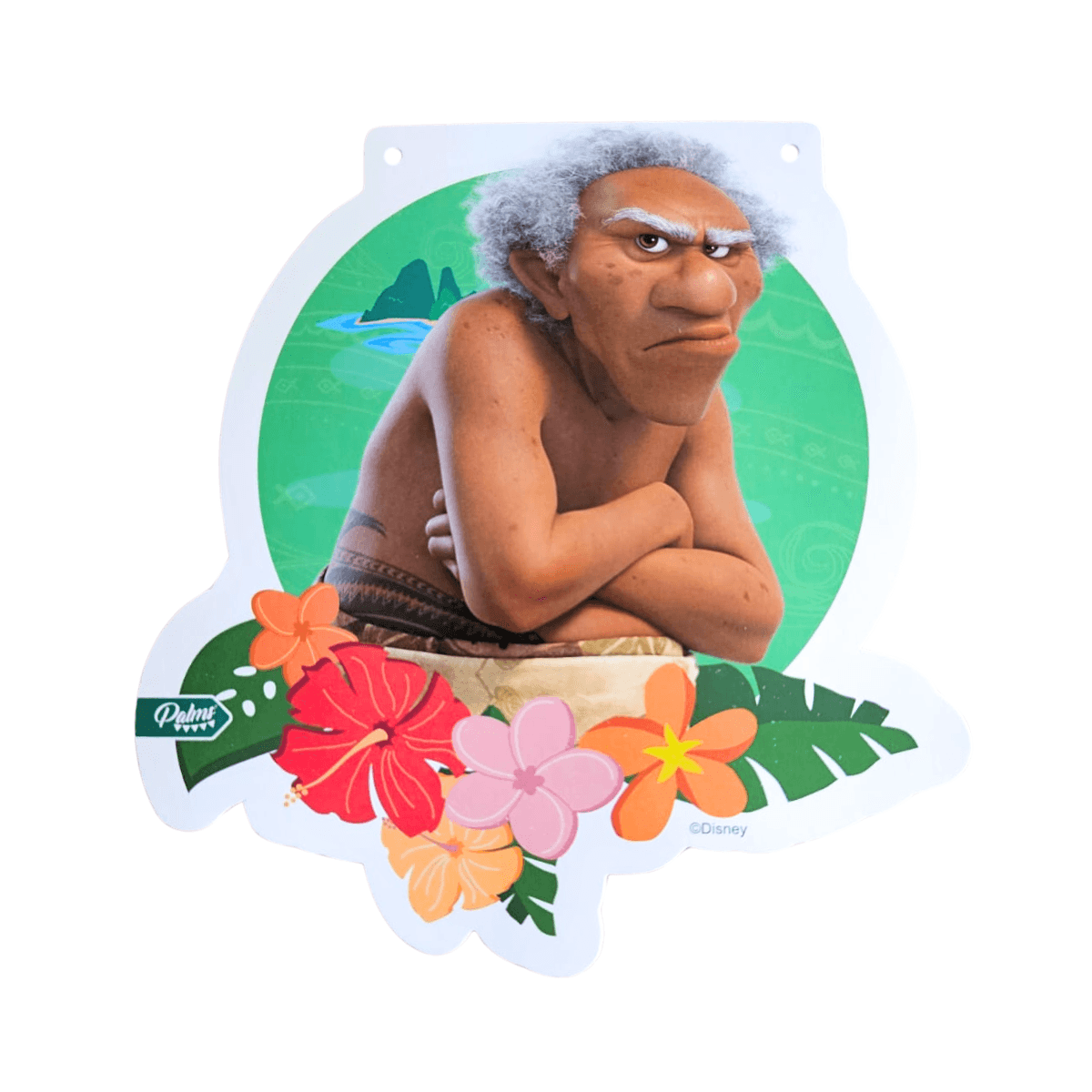 Guirnalda Moana 3mts Decoración Cumpleaños - Louicid