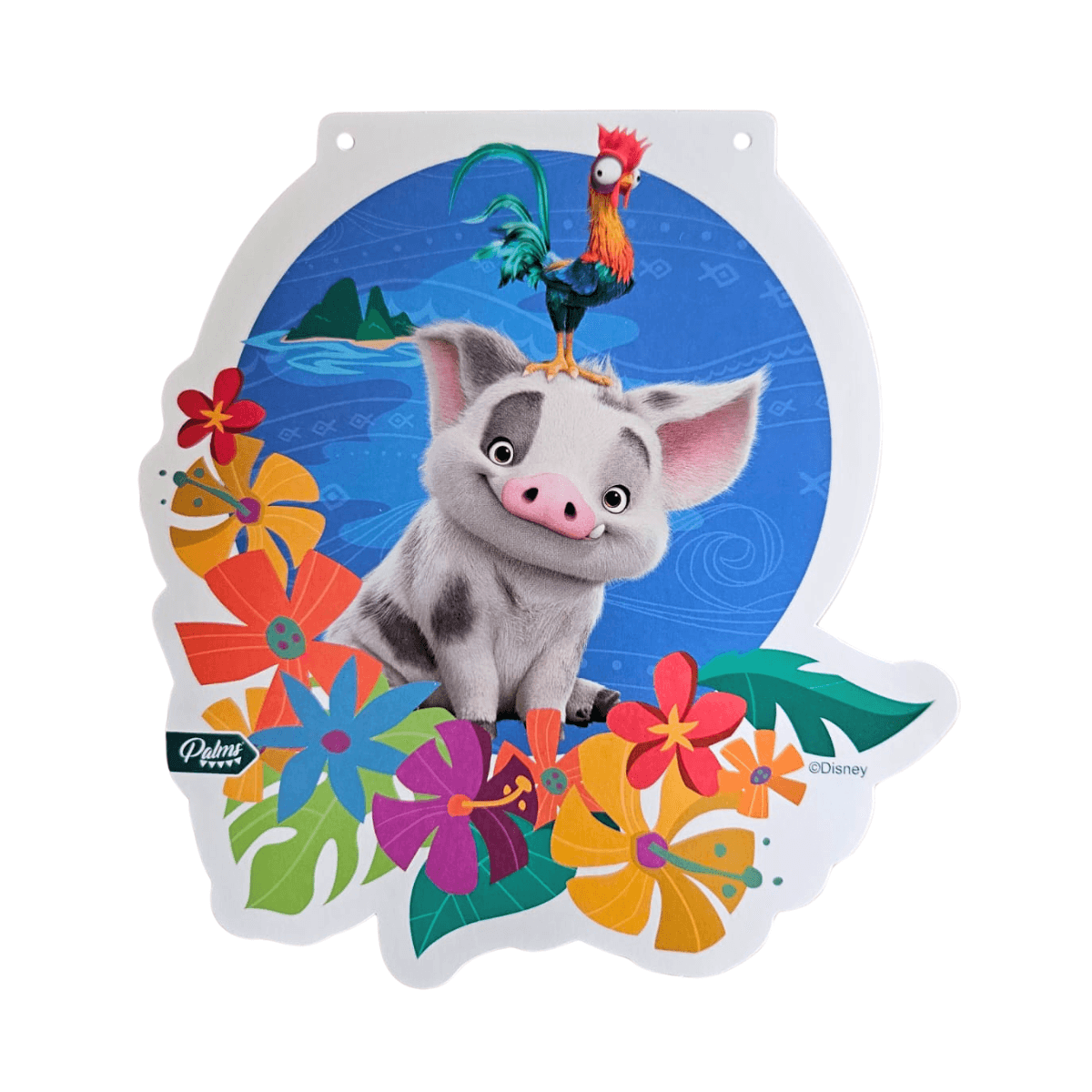 Guirnalda Moana 3mts Decoración Cumpleaños - Louicid