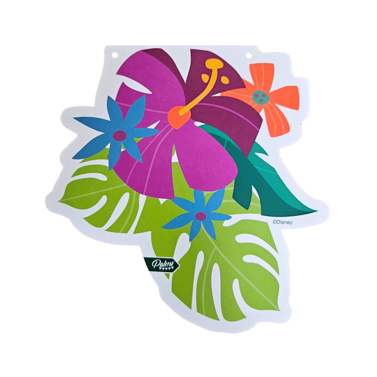 Guirnalda Moana 3mts Decoración Cumpleaños - Louicid