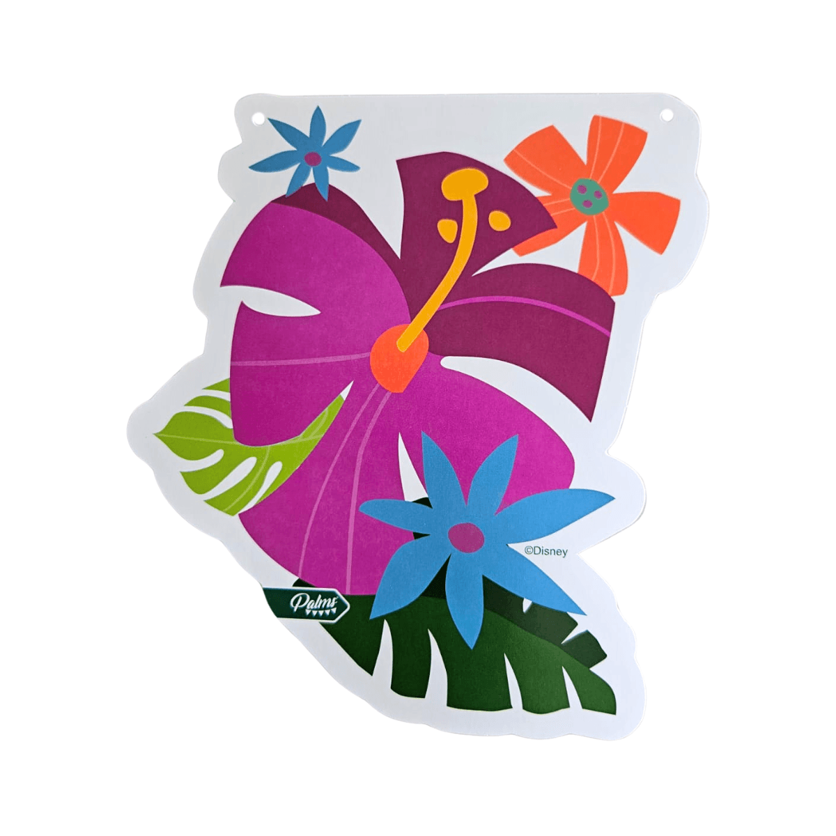 Guirnalda Moana 3mts Decoración Cumpleaños - Louicid