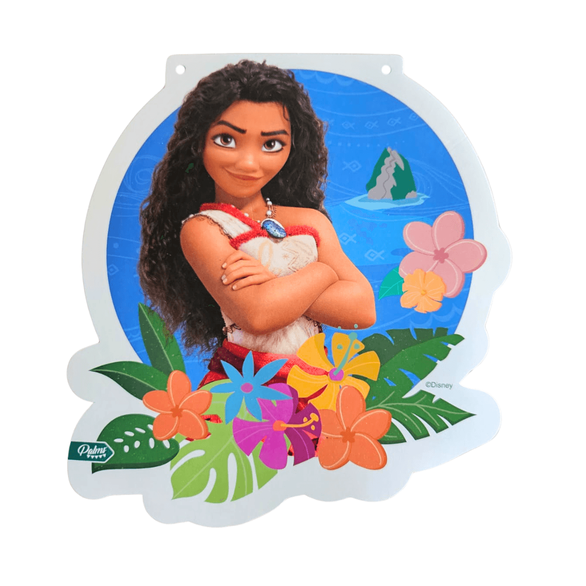 Guirnalda Moana 3mts Decoración Cumpleaños - Louicid